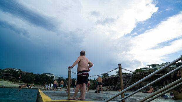 Swimmers look to the skies at Clovelley on Wednesday. Photo: Henry Zwartz
