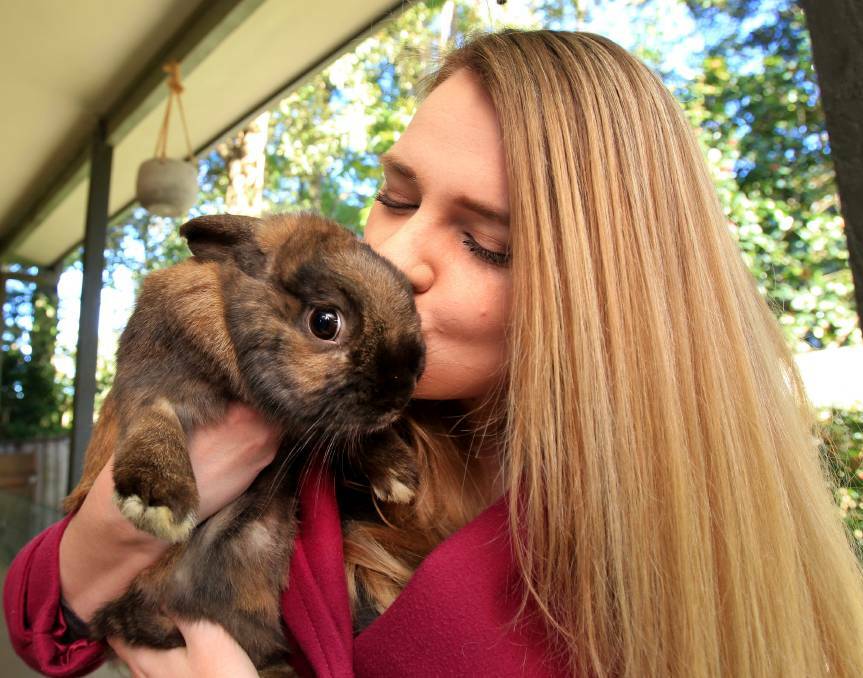 Love at first sight: Kathryn Cox fell in love with Jasper the moment she laid eyes on him at RSPCA’s Rouse Hill Care Centre. Picture: Isabella Lettini