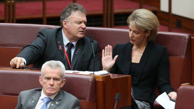 One Nation senator Rod Culleton (left), pictured with government senator Michaelia Cash, voted for the lower 10.5 per cent tax rate, splitting with the rest of his party. Photo: Andrew Meares