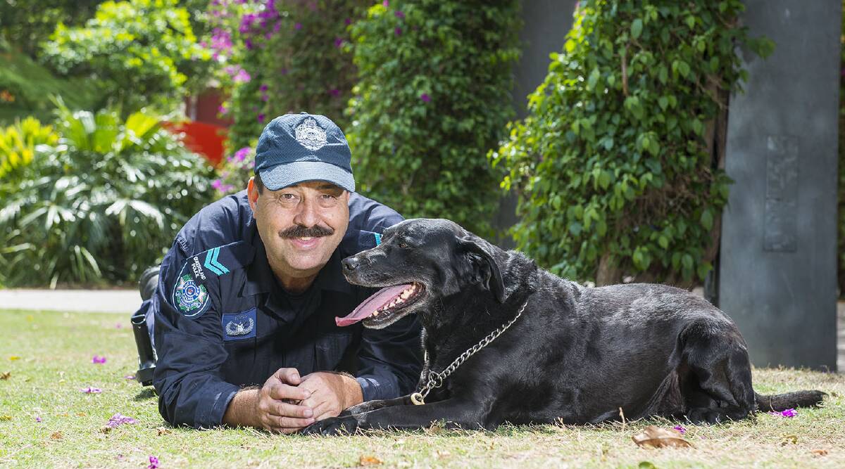 Tribute: Australian War Animal Memorial Organisation founder Nigel Allsop will be speaking at the Military Working Dog Tribute exhibit at the Sydney Dog Lovers Show.