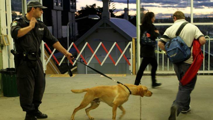 Police sniffer dogs at work at St Peters train station in Sydney ... more than two-thirds of searches do not find drugs Photo: Janie Barrett