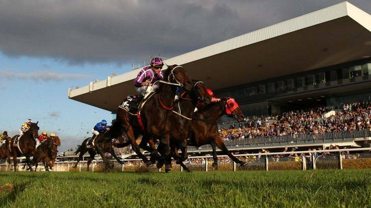 Boban, left, wins  the  Doomben 10,000 from Charlie Boy and  on Generalife.  Photo: Tertius Pickard