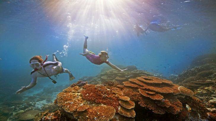 A major government assessment of the reef last year declared climate change its most serious threat. Photo: Tourism Australia
