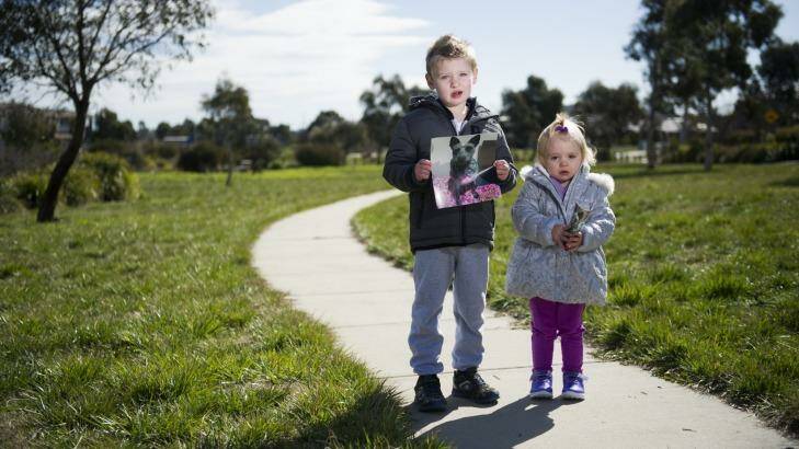 Dylan, 4, and Alexa Gabriel, 2, near their home in Dunlop where they believe someone took their beloved dog Patch. Photo: Rohan Thomson