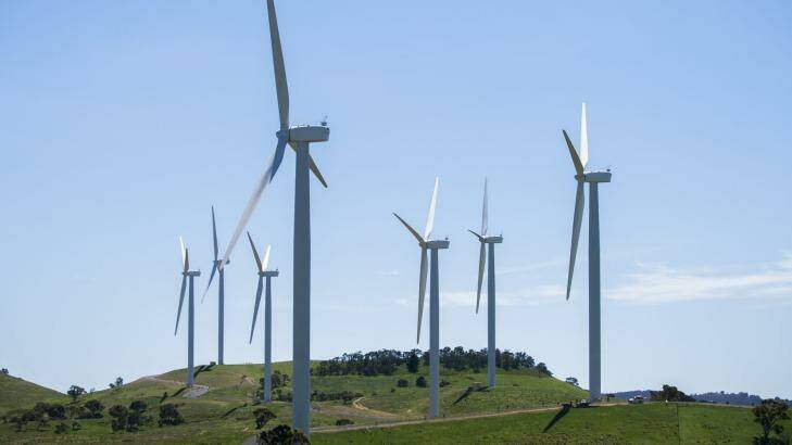 The government has criticised Labor for failing to release modelling on its renewable energy goal. Photo: Rohan Thomson