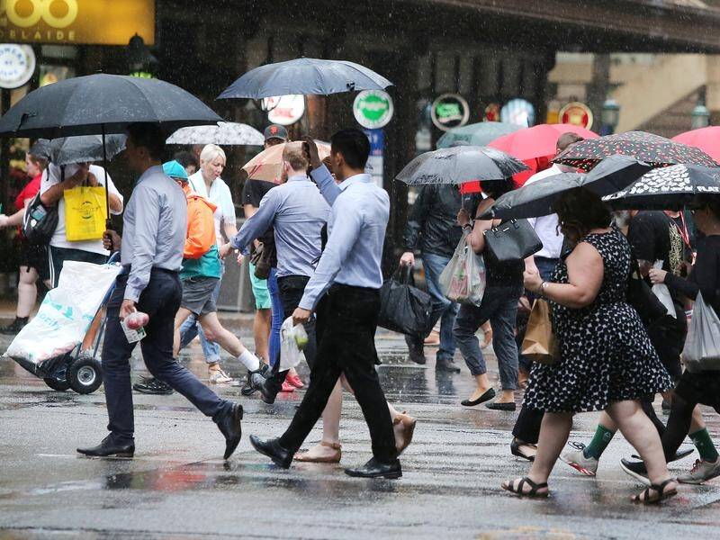 The BoM says many areas in southeast Queensland receive their monthly average rain in just one day.
