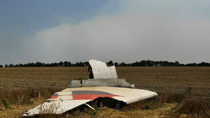 A portion of MH17 lies in a field in Ukraine last year. Investigators have reconstructed the nose of the plane. Photo: Kate Geraghty