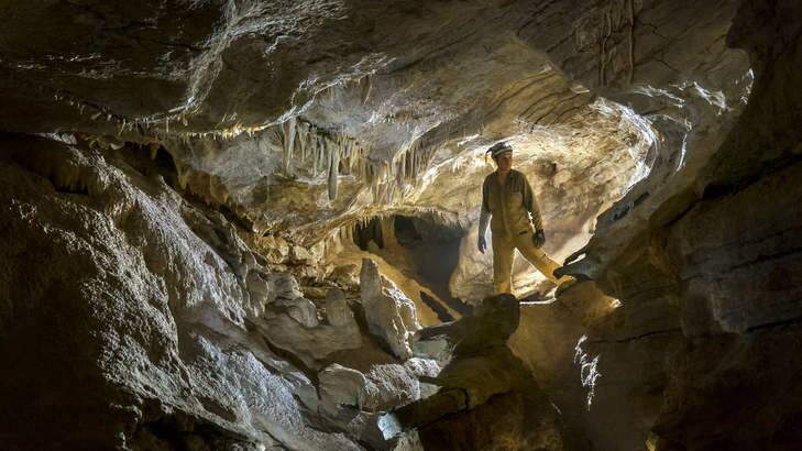 What lies beneath: Harry Burkitt admires the Cliefden Caves. Photo: Alan Pryke