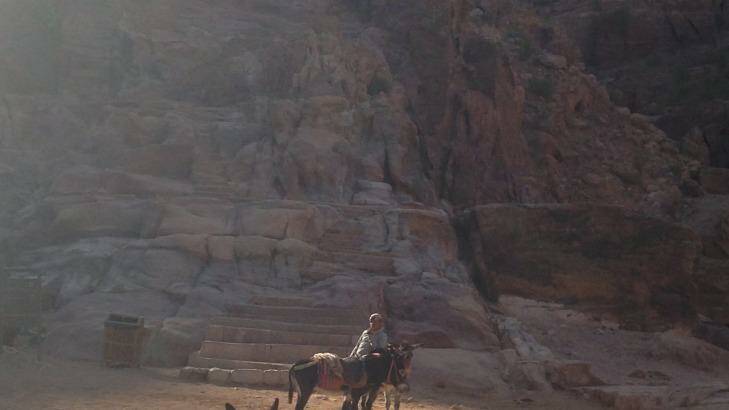 Donkeys at Petra, Jordan Photo:  Sandra Hall