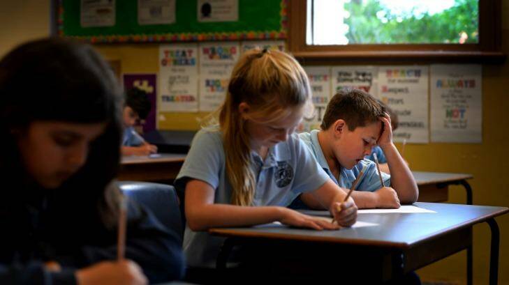 The NSW Education Department has sought community input to help shape its inner-city education strategy. Photo: Louie Douvis LDO
