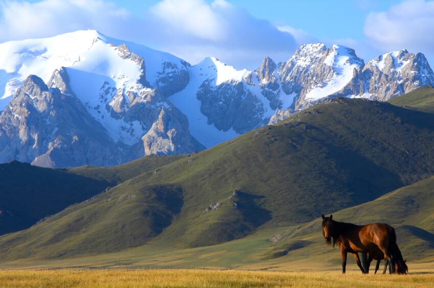 The mountains of Kyrgyzstan, and a photobombing horse. 