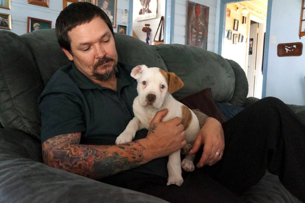 Craig Adamson with the pup the family will keep in memory of its mother, killed by a neighbour on Sunday morning.