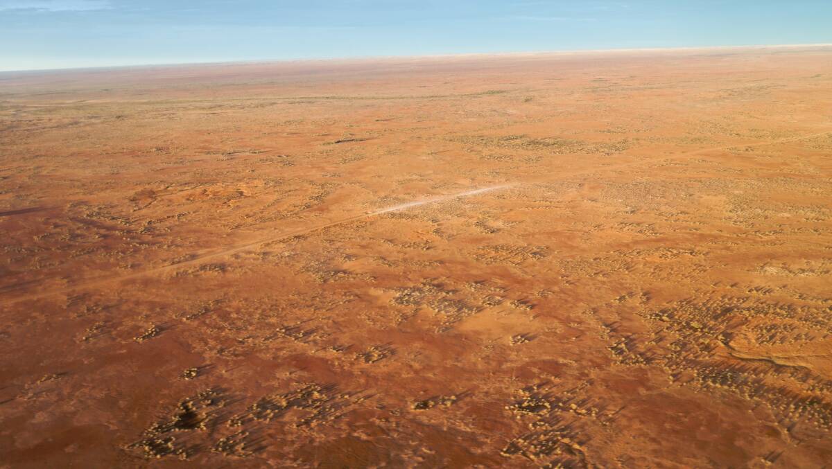Lake Eyre comes to life as the water floods into the desert