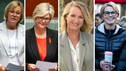 Independents Zali Steggall and Helen Haines have been returned, and are set to be joined by Kylea Tink and Zoe Daniel. 