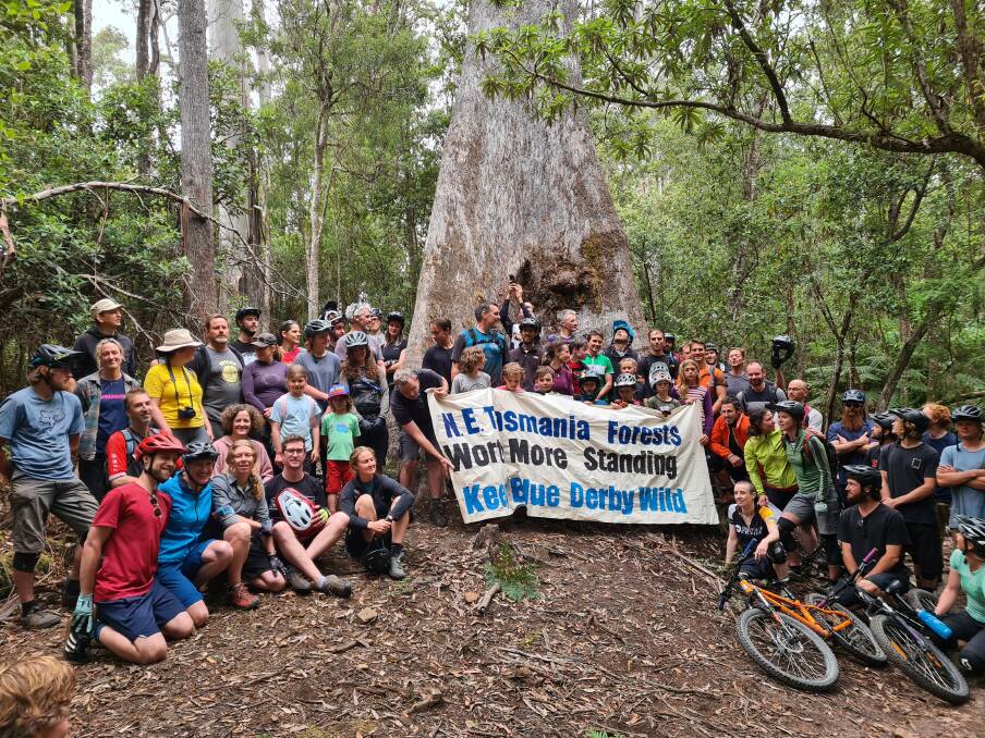 ACTION: Protesters gathered at the 'big mama' near the Krushkas trail in North-East Tasmania. Picture: Supplied