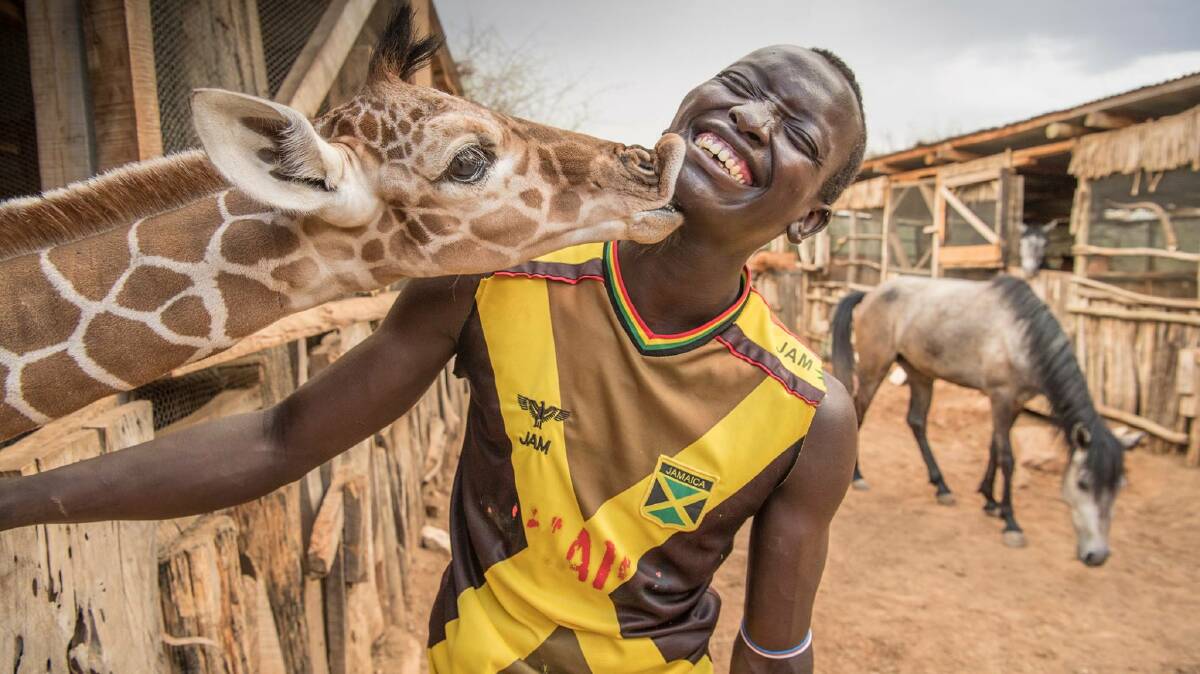 SEALED WITH A KISS: Lekupania receives a kiss from orphaned giraffe at Sarara Camp in Namunyak Wildlife Conservancy, Kenya. Photo: Ami Vitale.