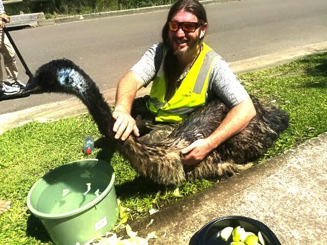 Luke Williams with the rescued emu at West Hoxton.