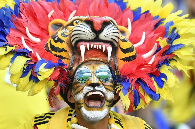 A fan of Colombia celebrates prior the group H match between Senegal and Colombia. Photo: AP Photo/Martin Meissner