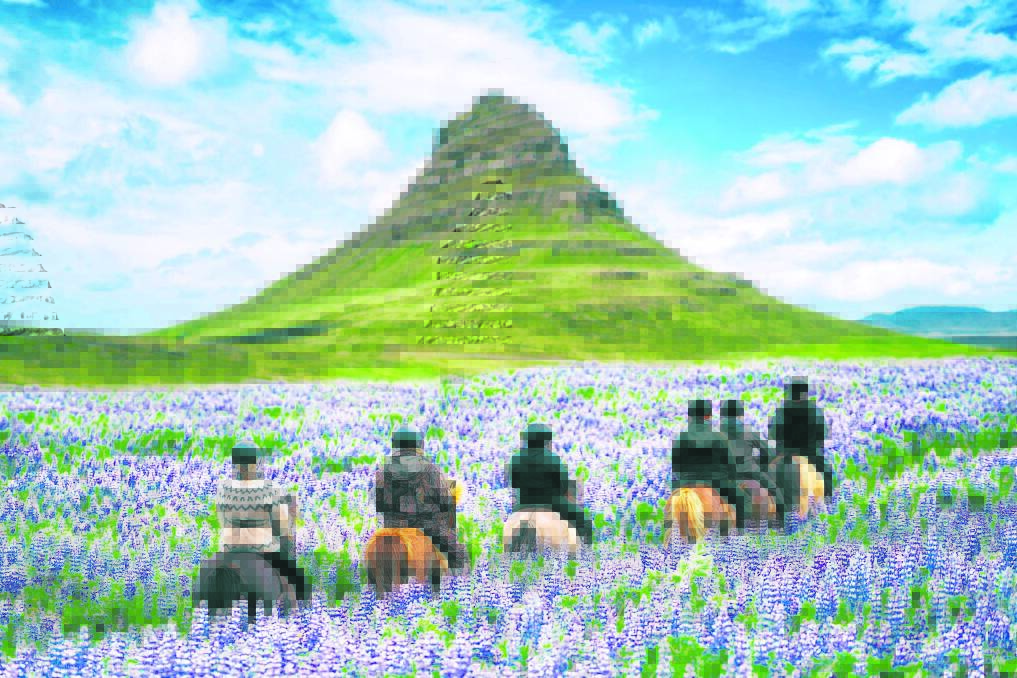 Be swept up in rugged Icelandic charm