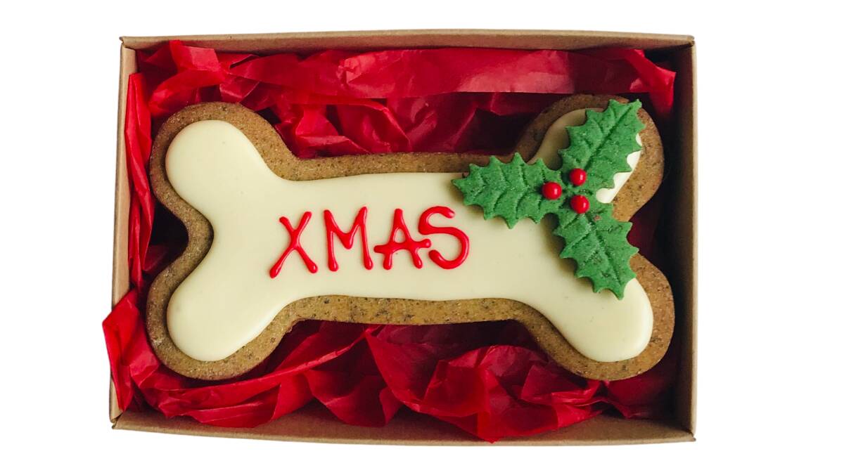 A Christmas gift guide for your pet | Trending