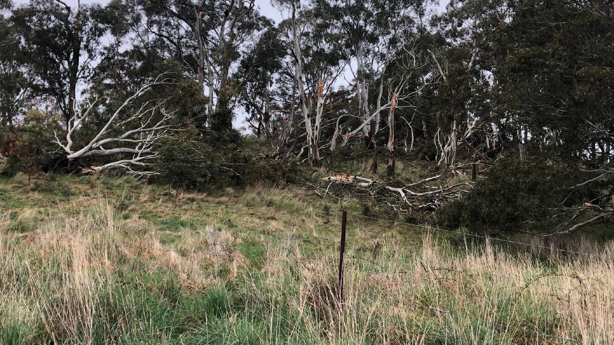 See the devastation caused by NSW tornado