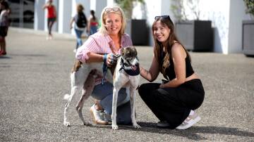 Jo Cunningham and her daughter Abbie with their new family member Jai. Picture Ross Schultz. Picture supplied