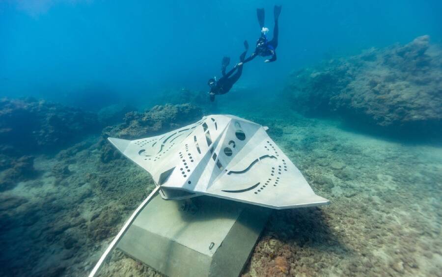 One of the Manta Ray sculptures at Manta Ray Bay off Hook Island. Photo: Queensland Tourism
