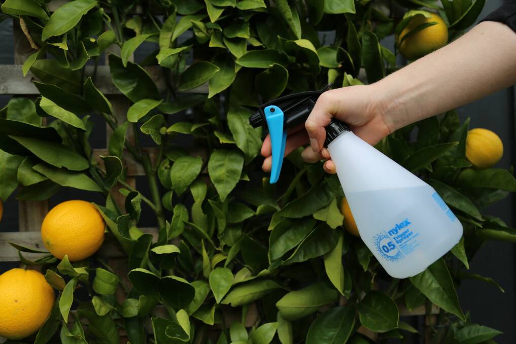 Using the Nylex 500ml Trigger Sprayer will help decrease the amount of plastic you throw away. Photo: Nylex