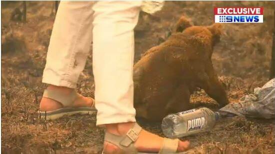 Toni Doherty rescues Ellenborough Lewis from the fires near Long Flat. Photo: Nine News.