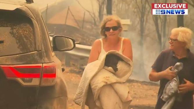Toni Doherty and her partner Peter rescue the burning koala from a fire zone near Long Flat. Photo: Nine News.