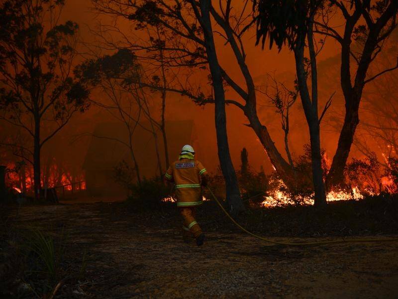 New South Wales is facing its most significant fire risk in a decade. (Dean Lewins/AAP PHOTOS)