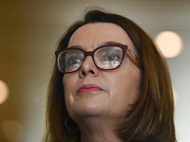 Social Services Minister Anne Ruston has rejected calls to raise the $40-a-day Newstart payment.