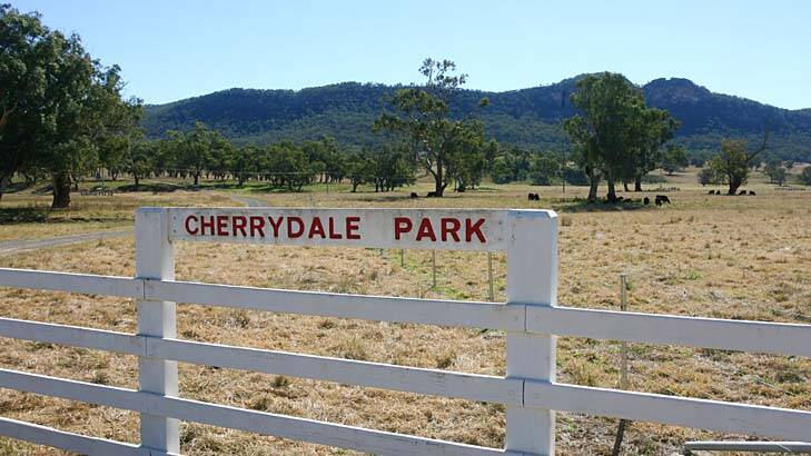 Cherrydale Park with Mt Penny, which is the site of exploratory coal drilling, in background. Photo: Brockwell Perks