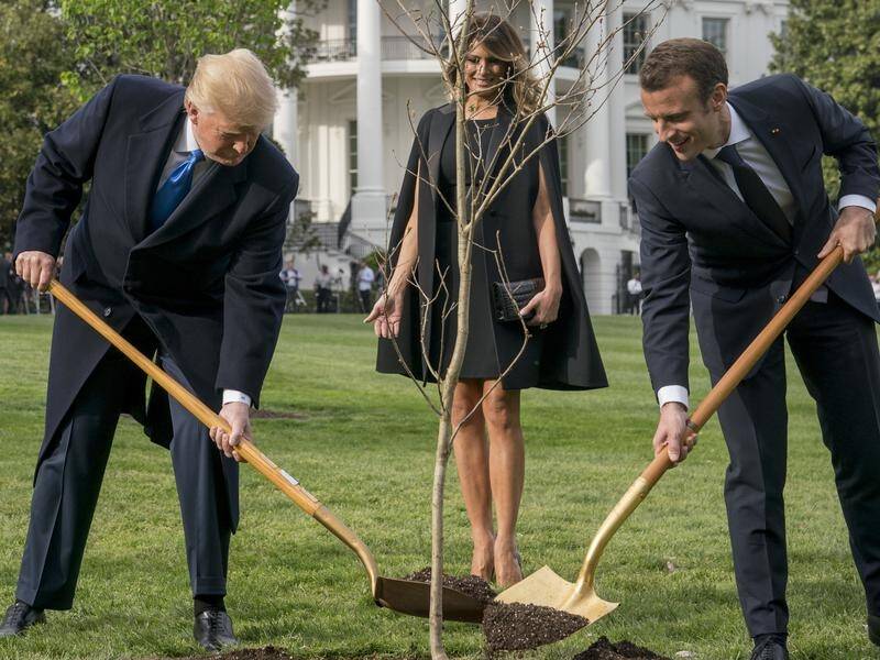 French President Emmanuel Macron planted a tree on the lawns of the White House with Donald Trump.