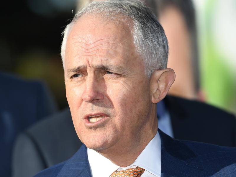 Malcolm Turnbull says a glitch to opt out of e-health record is resolved.
