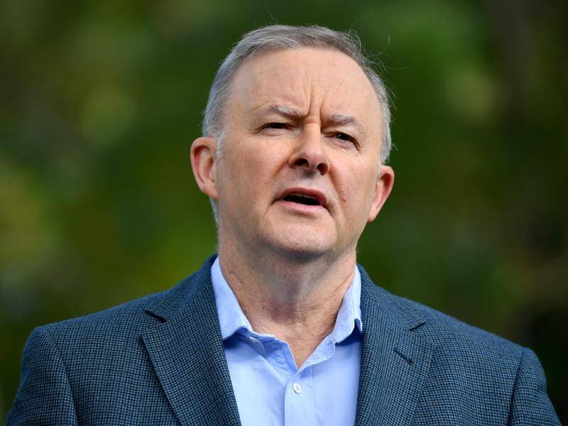 Anthony Albanese says the government is trying to use figures to spin its way out of a mess.