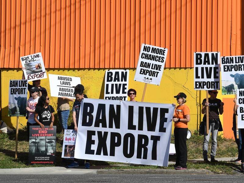 Countries with lower animal welfare standards may step in if Australia stops live exports