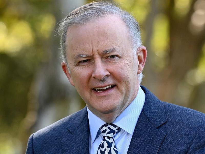 Labor wants to make sure it's ready for a potential election this year, Anthony Albanese says.