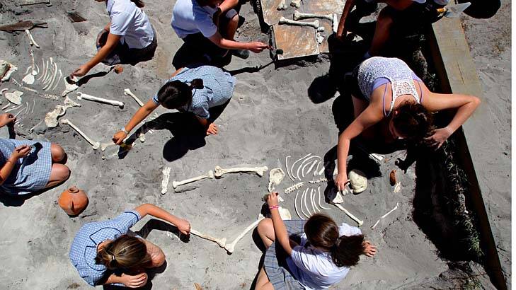 Brush with death … students excavate ''bones'' and artefacts in a replica Minoan temple.